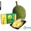 Sầu riêng Ri6 - Tươi, Hái già (Hộp 500g) - Sượng bao đổi trả